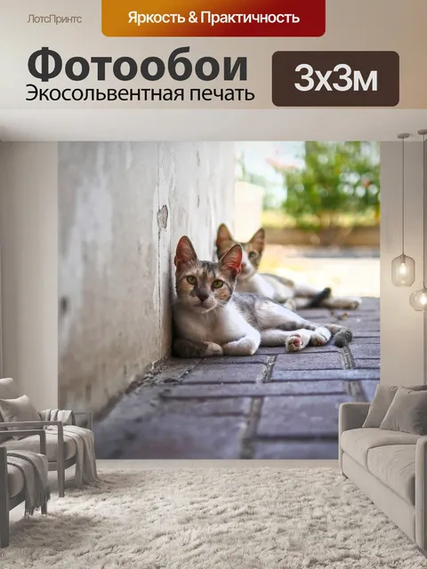 Фотообои Милый
