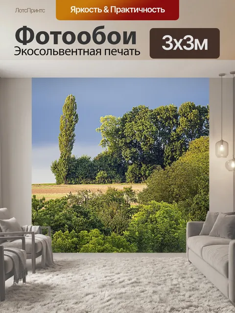 Фотообои Тополь