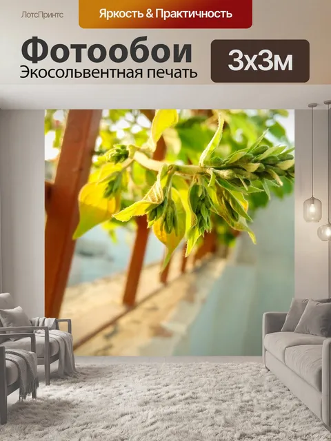 Фотообои Листья