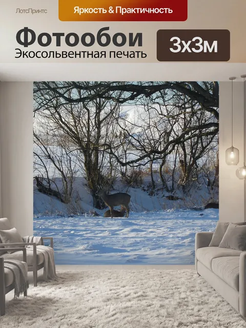 Фотообои Природа