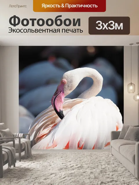 Фотообои Птица
