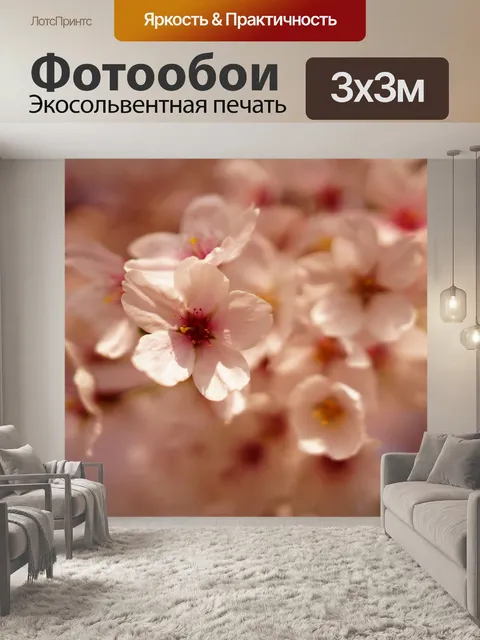 Фотообои Красивая Cherry Blossom