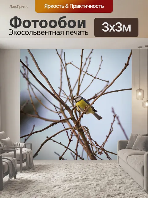 Фотообои Птица