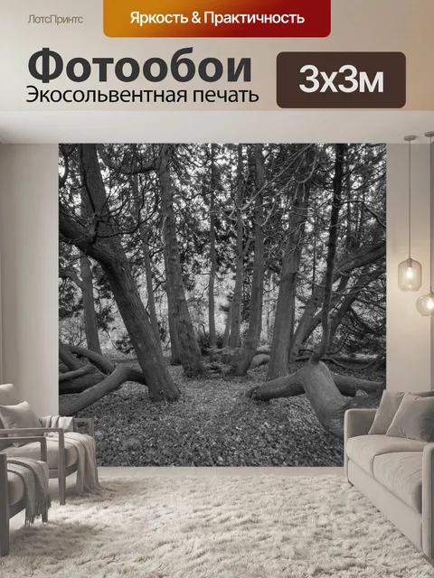 Фотообои Деревья
