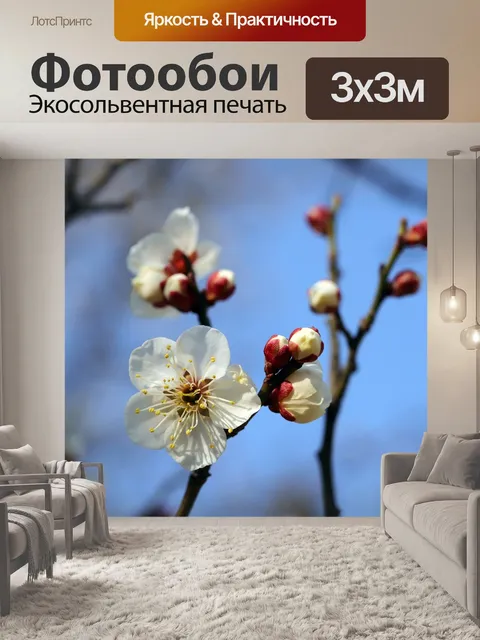 Фотообои Цветение сливы
