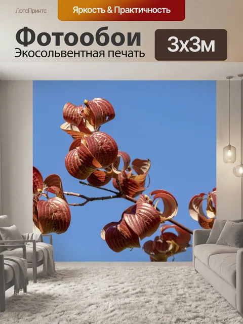 Фотообои Осенние листья
