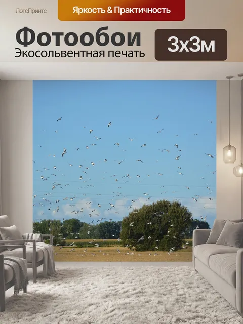 Фотообои Стая птиц