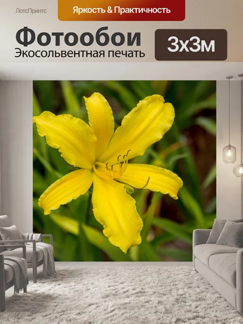 Фотообои Сад
