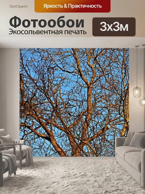Фотообои Ветви