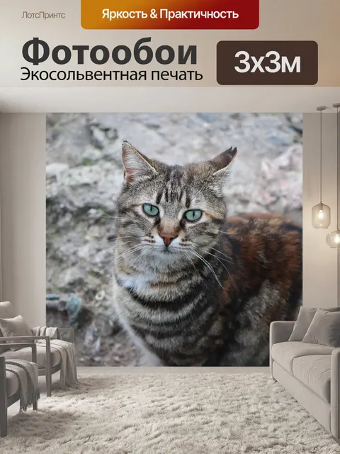 Фотообои Кошка