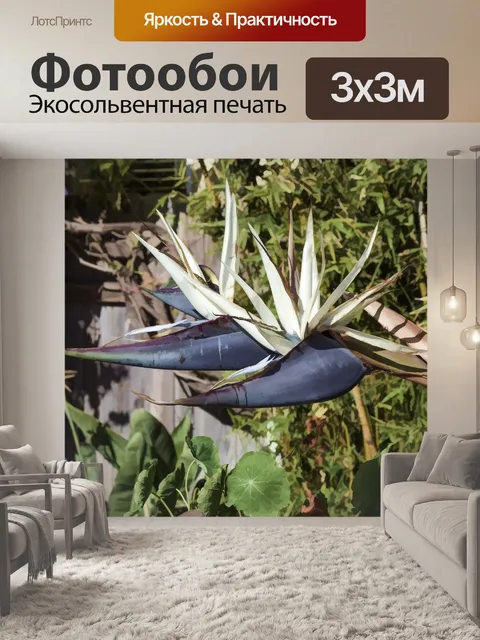 Фотообои Цветы райской птицы