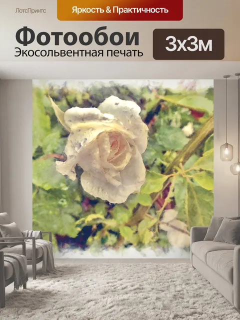 Фотообои Розовая живопись