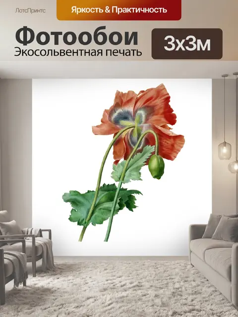 Фотообои Цветут старый винтажный мак
