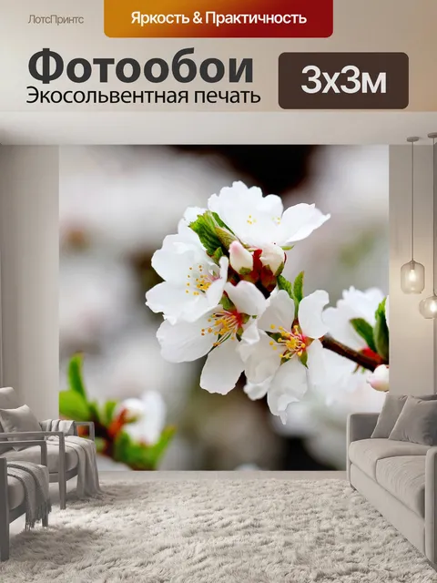 Фотообои Цветение вишни