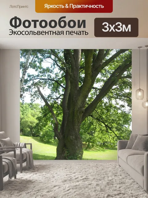 Фотообои Дерево
