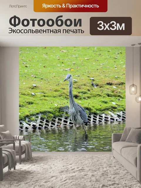Фотообои Цапля