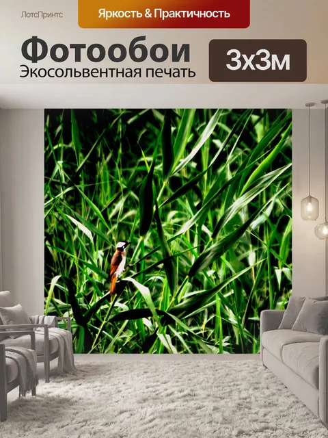 Фотообои Птица в небе (а)