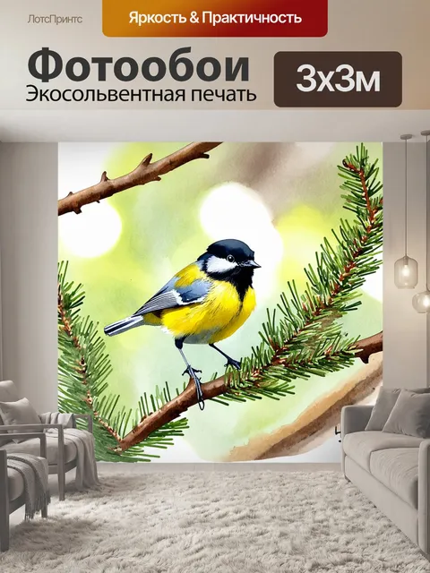Фотообои лесная сцена с большой синицей, сидящей на ветке можжевельника