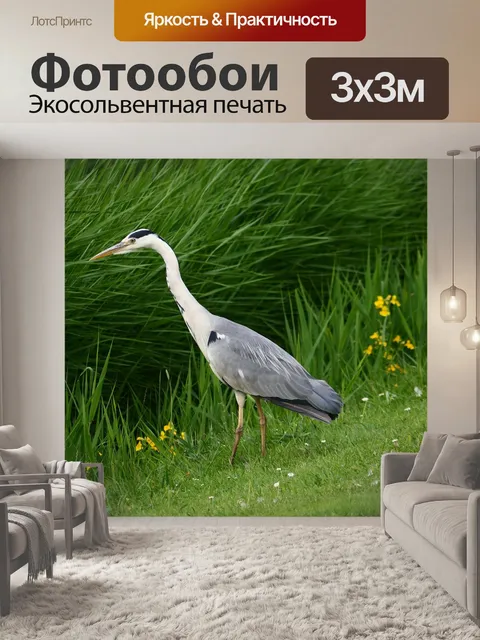 Фотообои Цапля