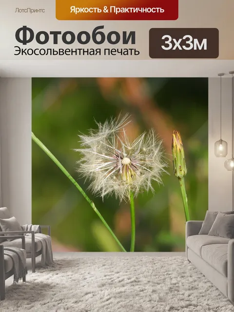 Фотообои Осот огородный