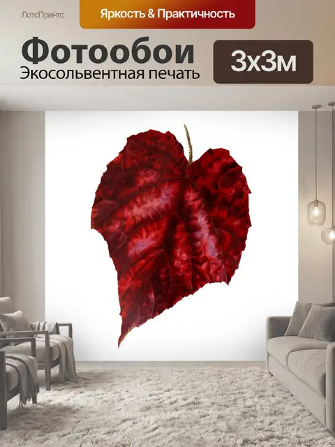 Фотообои Винтажный осенний лист