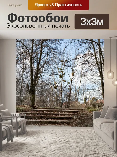 Фотообои Дерево