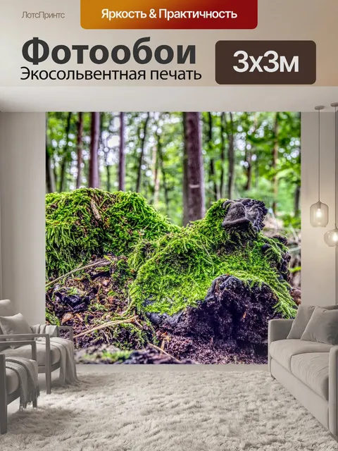 Фотообои Мох