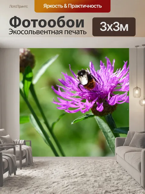 Фотообои Цветок пчелы