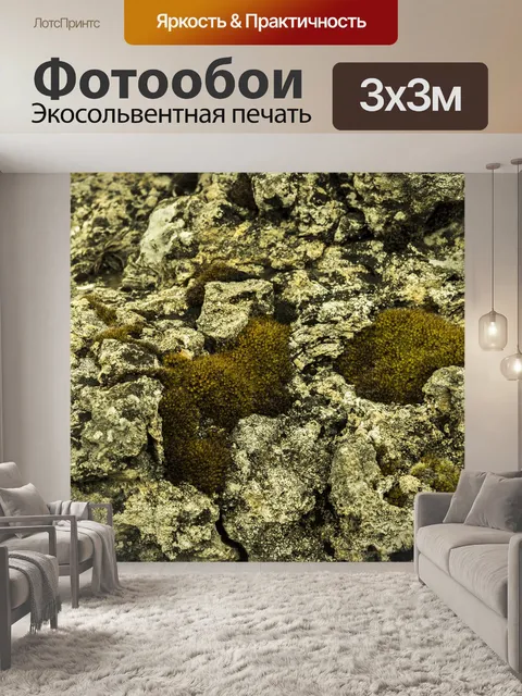 Фотообои Камень