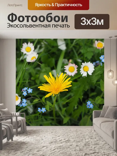 Фотообои Луговые цветы