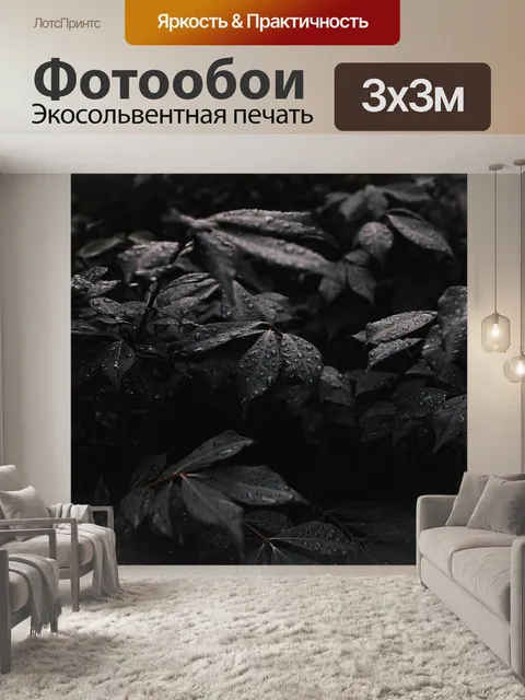 Фотообои Темный