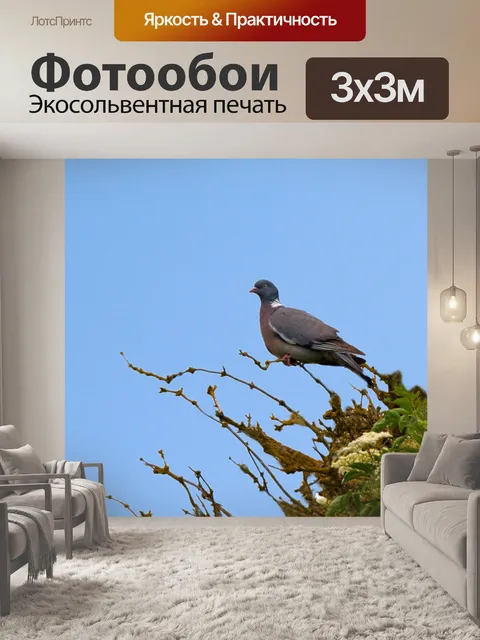 Фотообои Птица в дереве