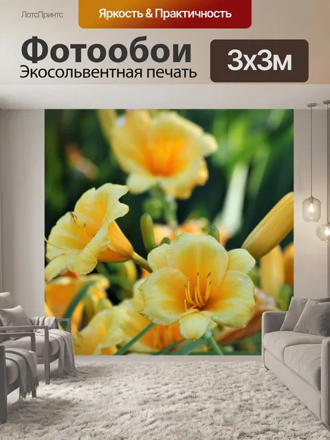 Фотообои Желтые лилейники в саду
