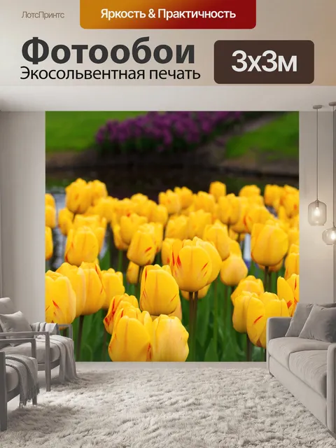 Фотообои желтые тюльпаны