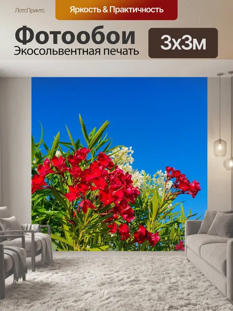 Фотообои Цветы олеандра