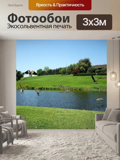 Фотообои Птица