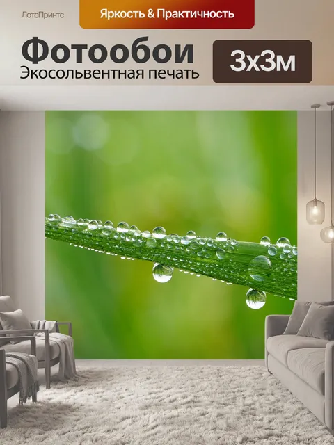 Фотообои Росы