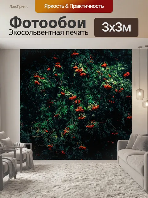 Фотообои Рябина