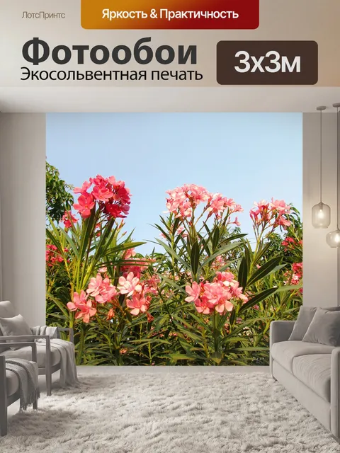 Фотообои Полевые цветы