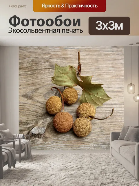 Фотообои Шампиньоны из семян сикамора