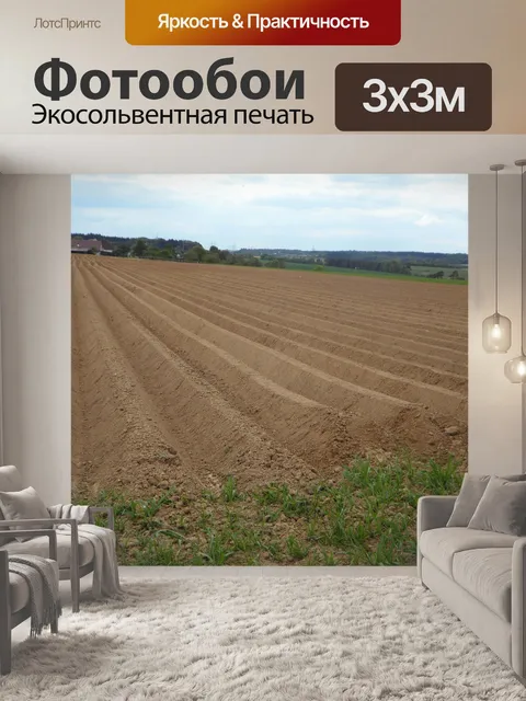 Фотообои Хребет