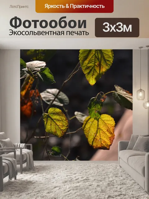 Фотообои Лист
