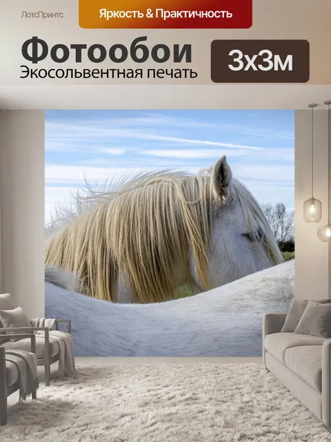 Фотообои Лошадь