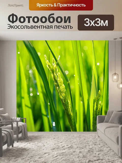 Фотообои Еда
