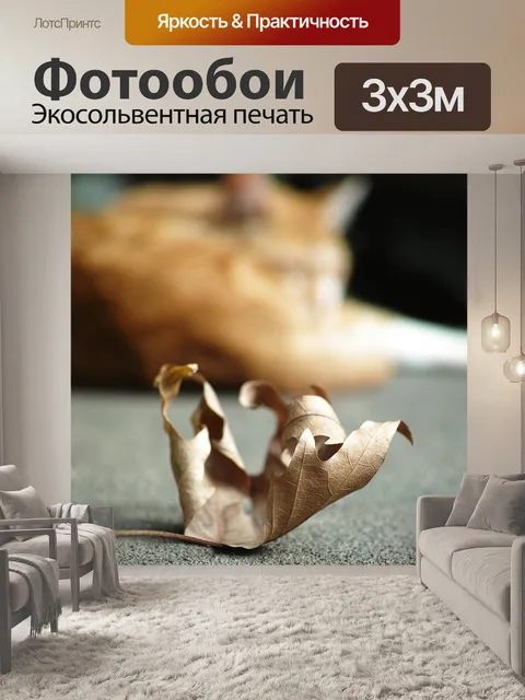 Фотообои Кошка