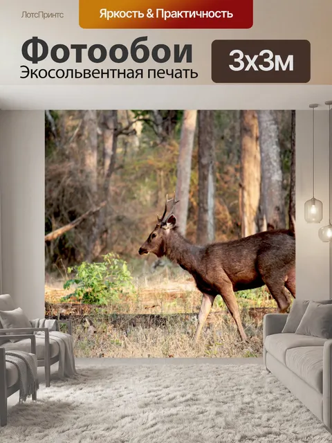 Фотообои Олень