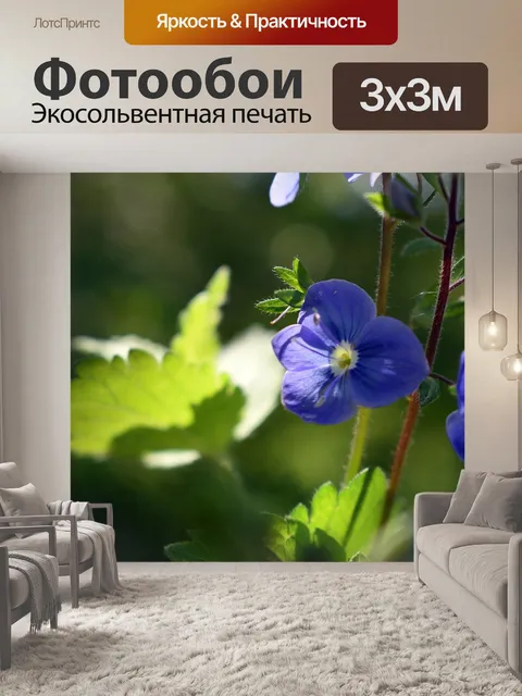 Фотообои Цветок