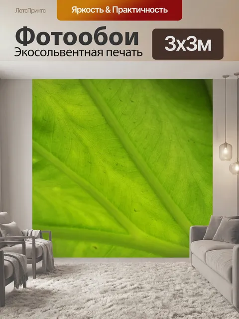 Фотообои Крупным зеленый лист таро