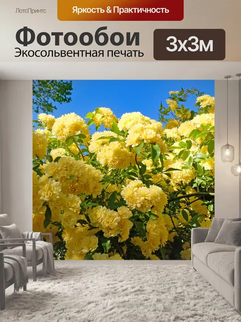 Фотообои Роза