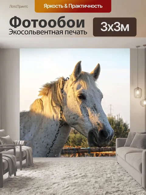 Фотообои Животное